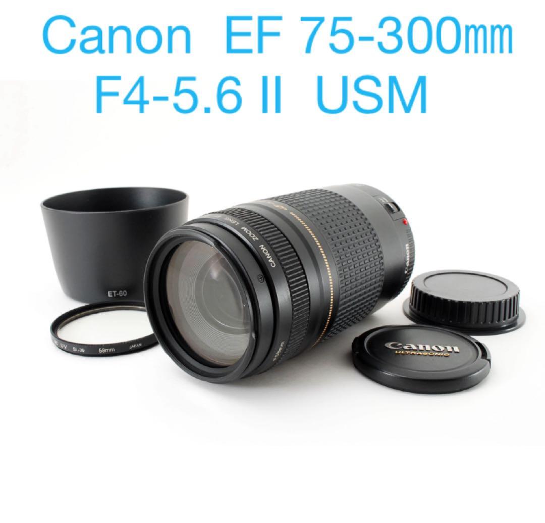 フード付き/人気の望遠レンズ /キヤノン/Canon EF75-300㎜