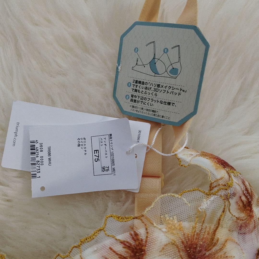 Triumph トリンプ　天使のブラ　TR586　定価6820円 011　E75