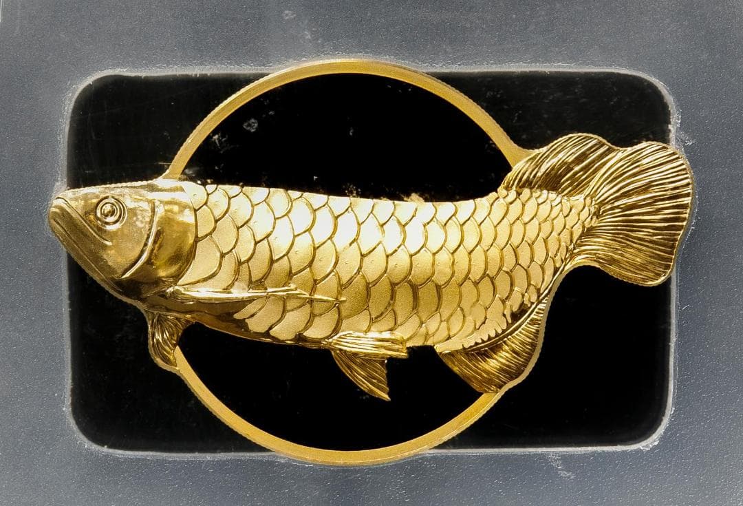 最高鑑定　PCGS-PR70 DCAM FDI パラオ アロワナ 2019 銀貨