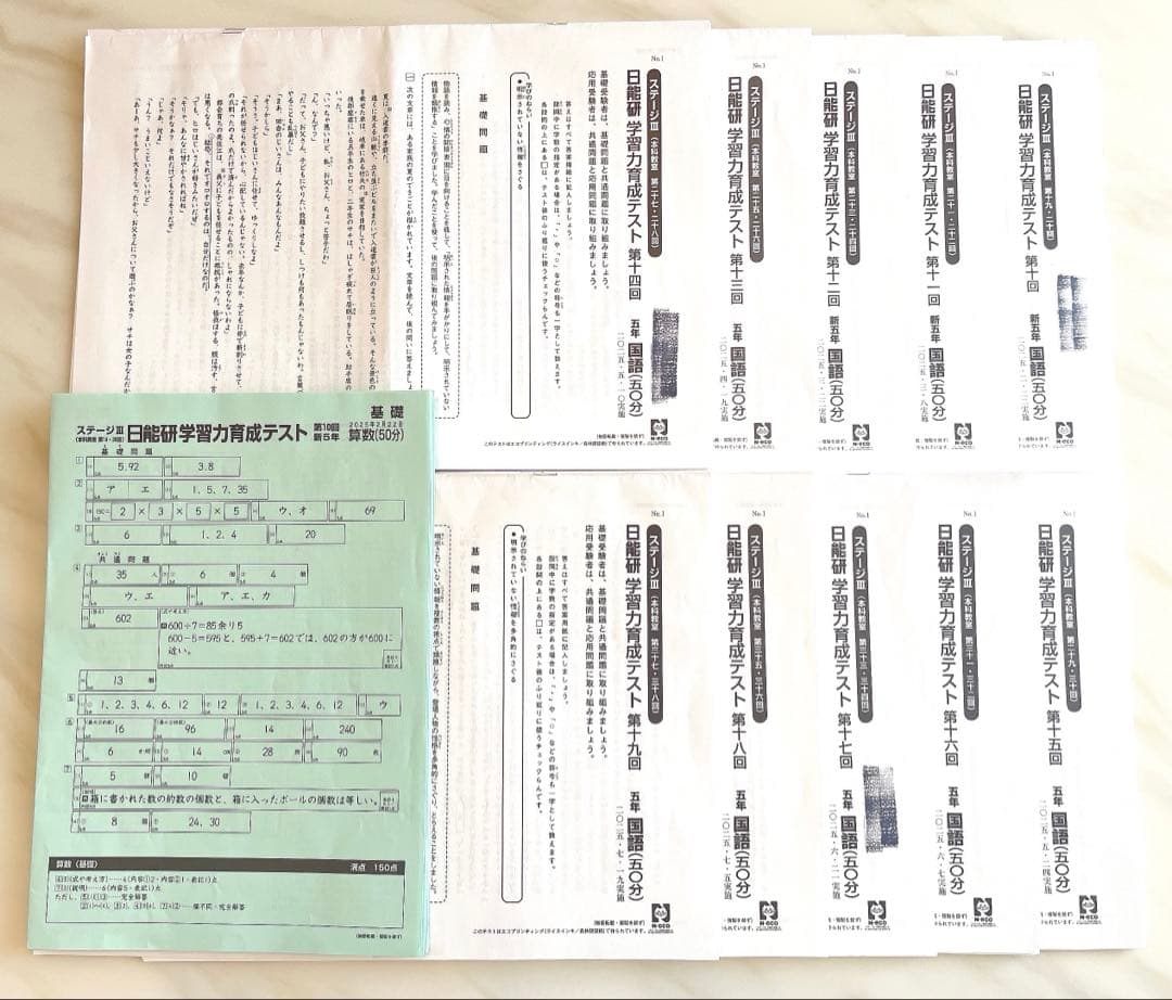 【2025年最新】日能研　5年生　育成テスト　前期4科10回分