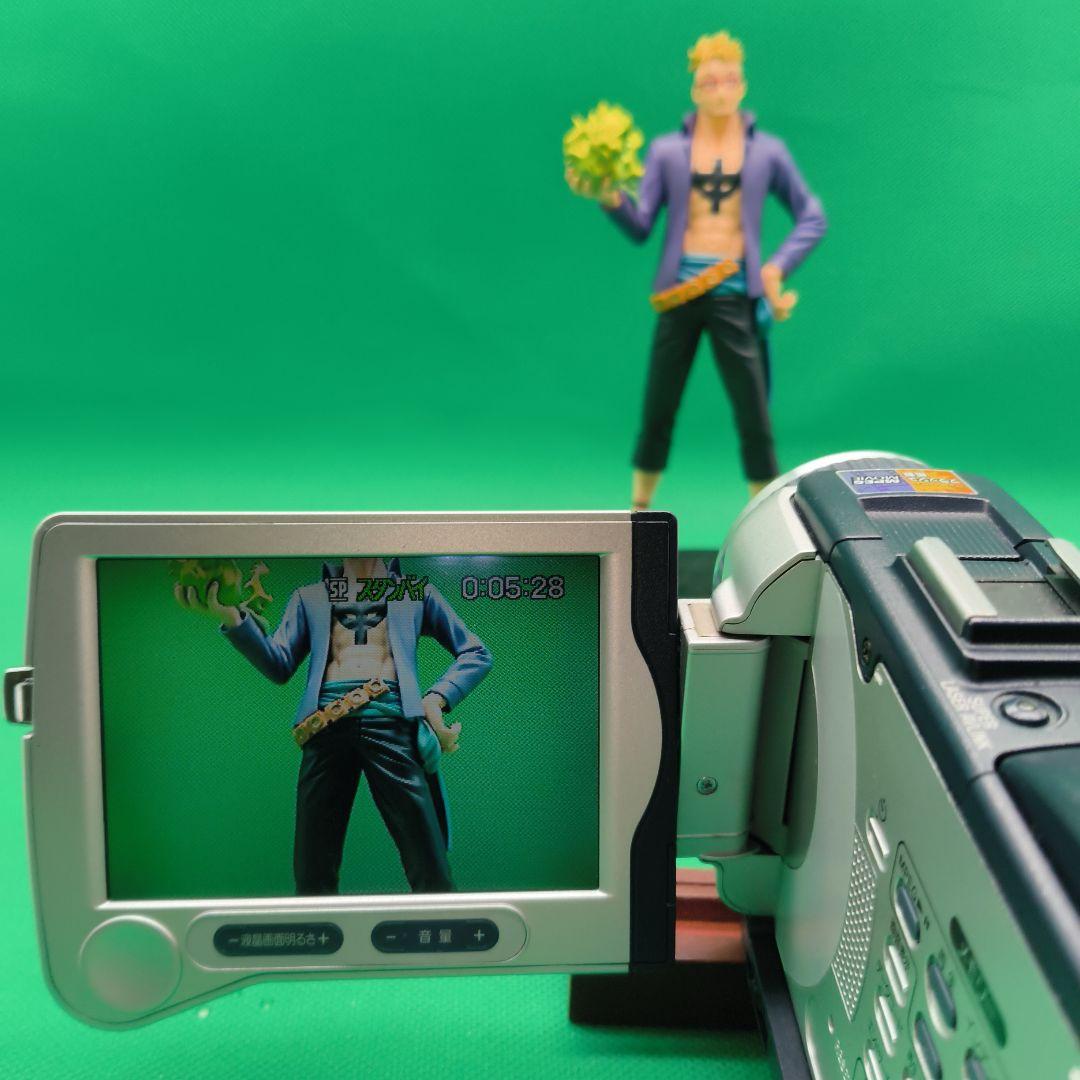 SONY ソニー Handycam DCR-TRV30 Mini DV