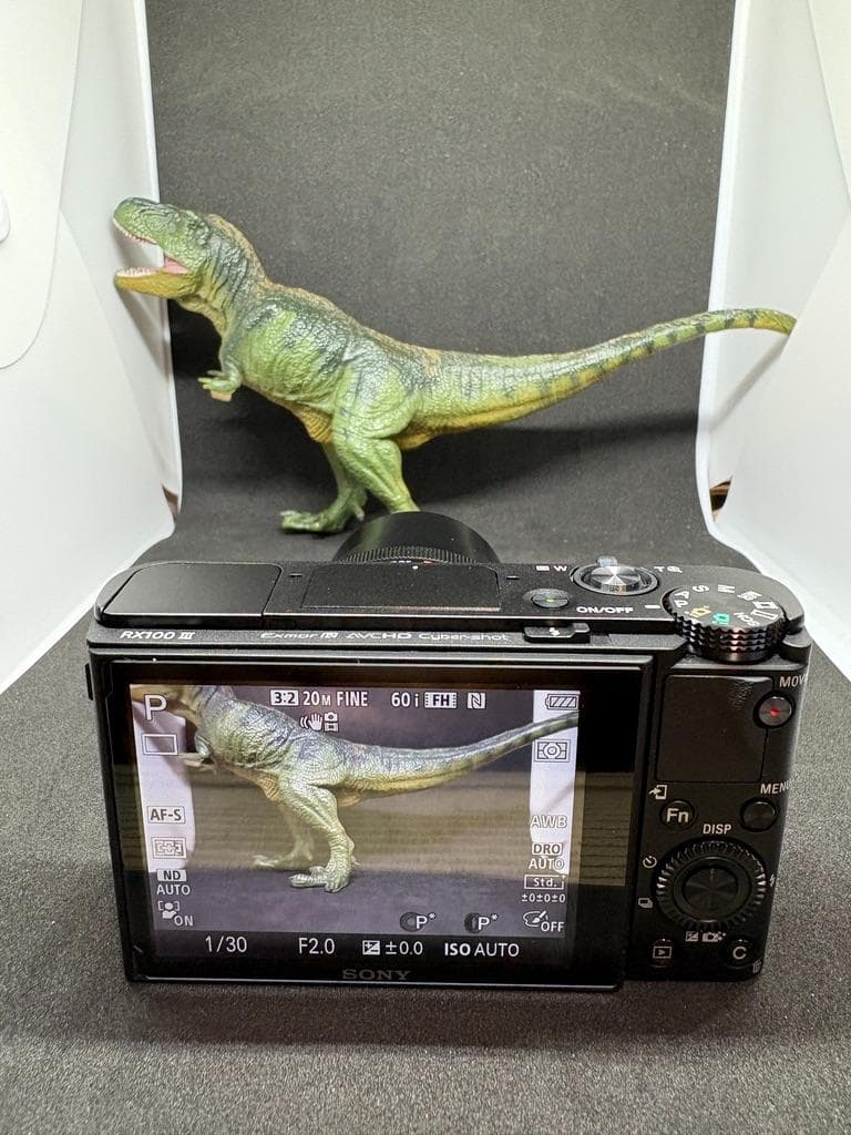 【極美品】 SONY DSC-RX100M3