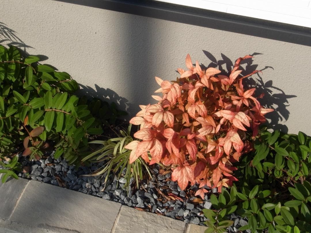 ✨大人気✨インスタ撮影に✨RICOH GR DIGITAL III　541