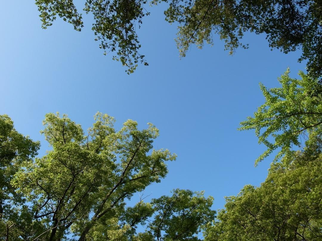 ✨大人気✨インスタ撮影に✨RICOH GR DIGITAL III　541