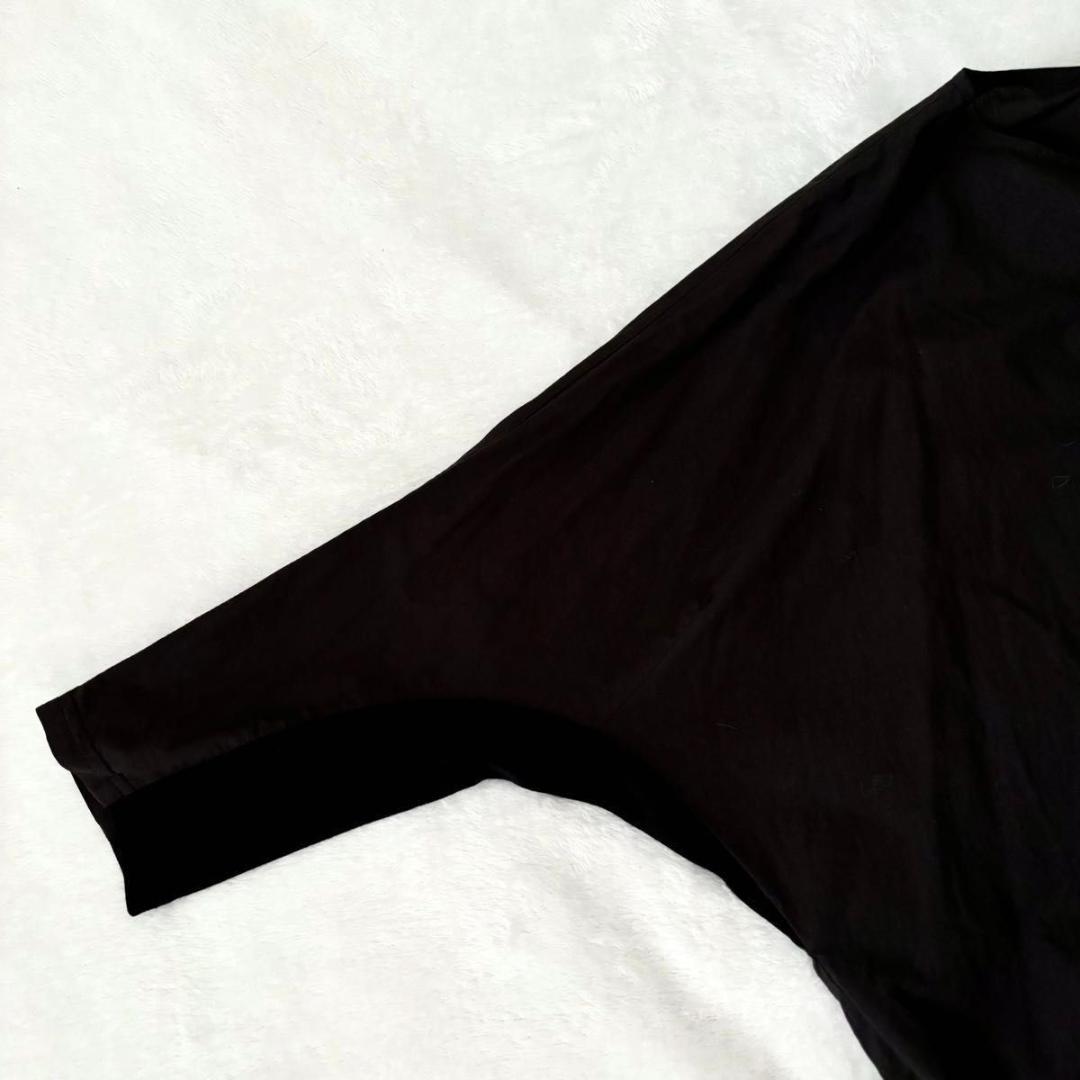 BEARDSLEY ビアズリー　シャツTシャツ　ブラック　洗える ブラウス