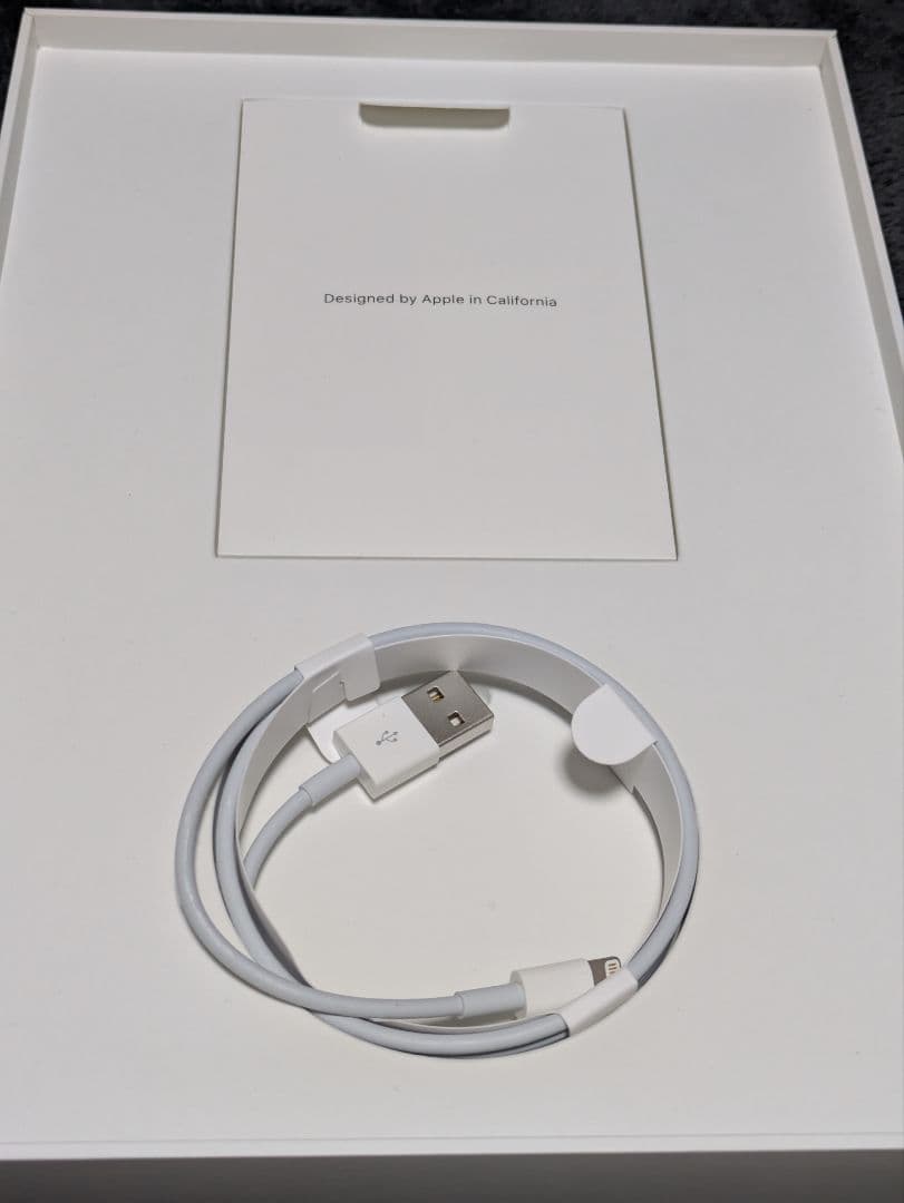 え*ふ様 第6世代 iPad cellular docomo 32GB シルバー