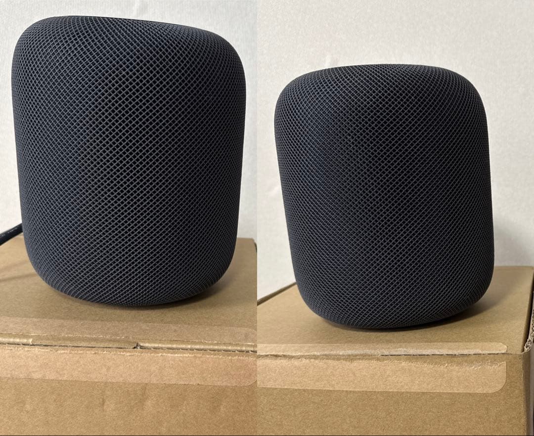 Apple Pod 【第一世代】スペースグレイ2個セット