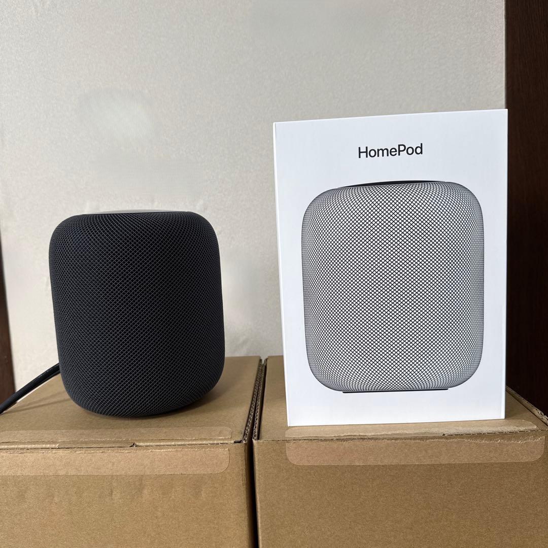 Apple Pod 【第一世代】スペースグレイ2個セット