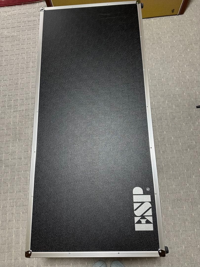 ESP Flying A-Ⅴ 高見沢モデル