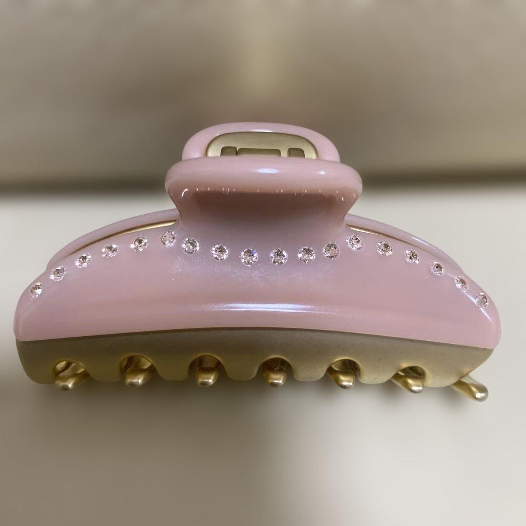 ALEXANDRE DE PARIS クリップ　M