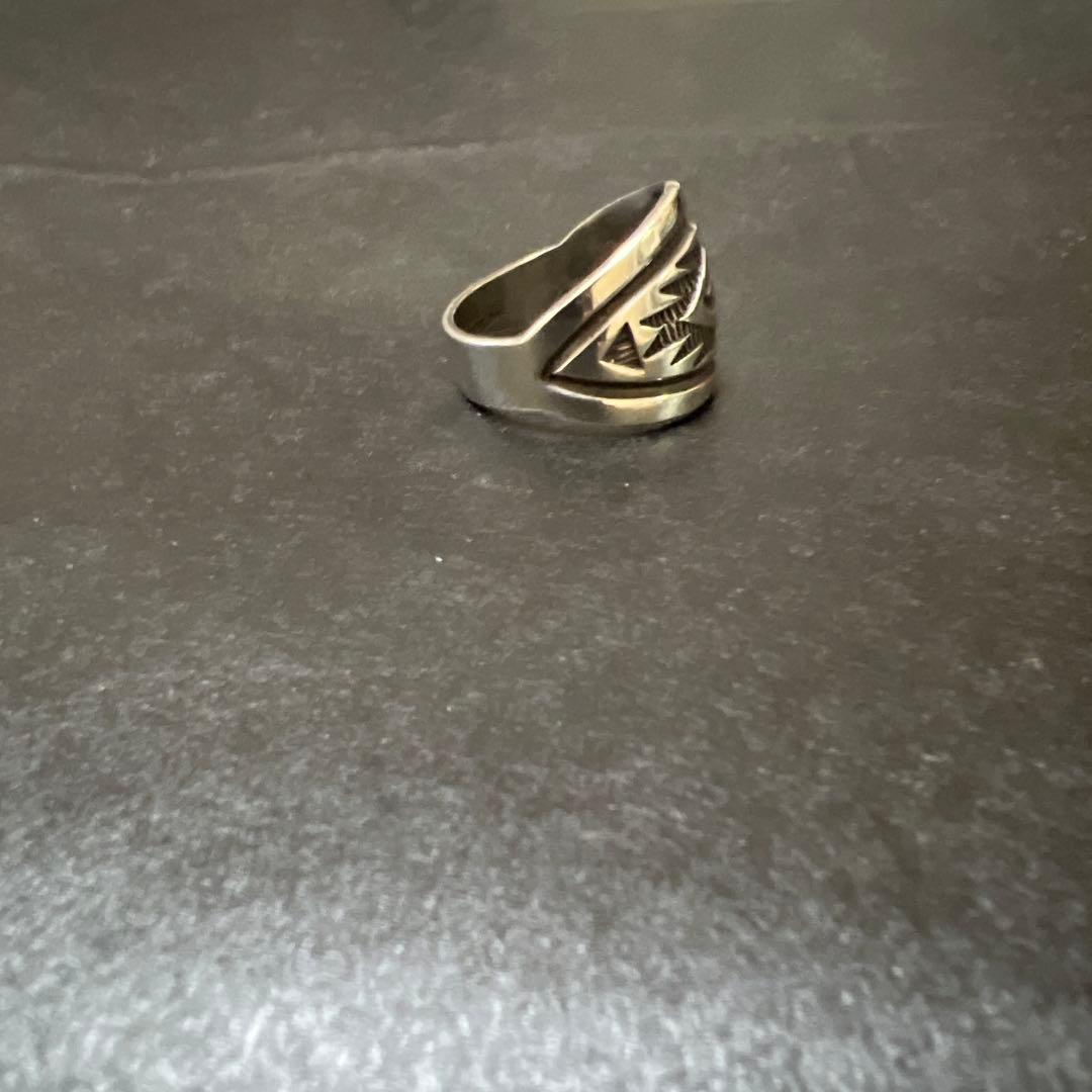 ナバホ　トロイラナーリング