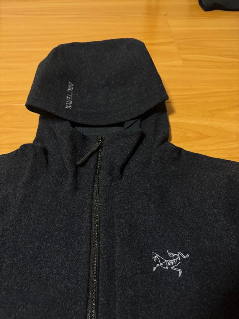 アークテリクス Sawyer Hoody Men's / M / Black