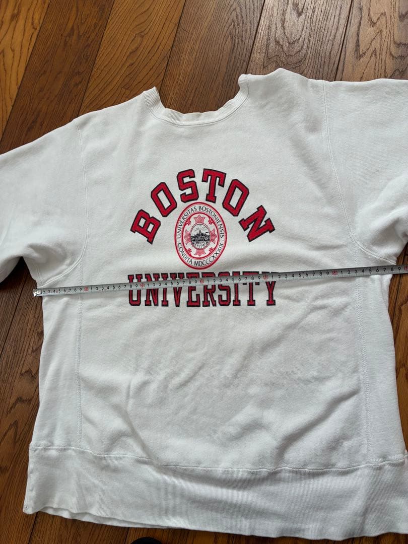 Champion チャンピオン リバースウィーブ トリコタグ　　L 染み込み