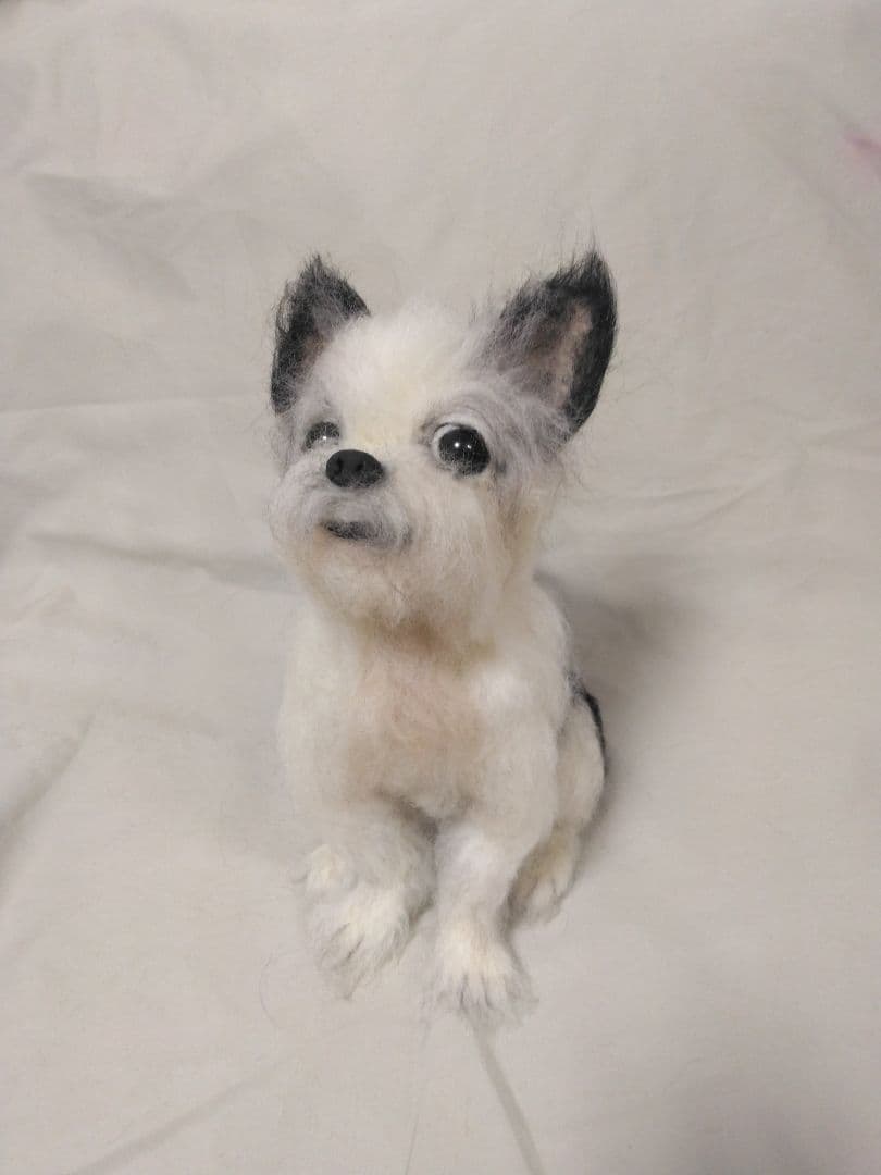 コクパーズ　羊毛フェルトオーダー