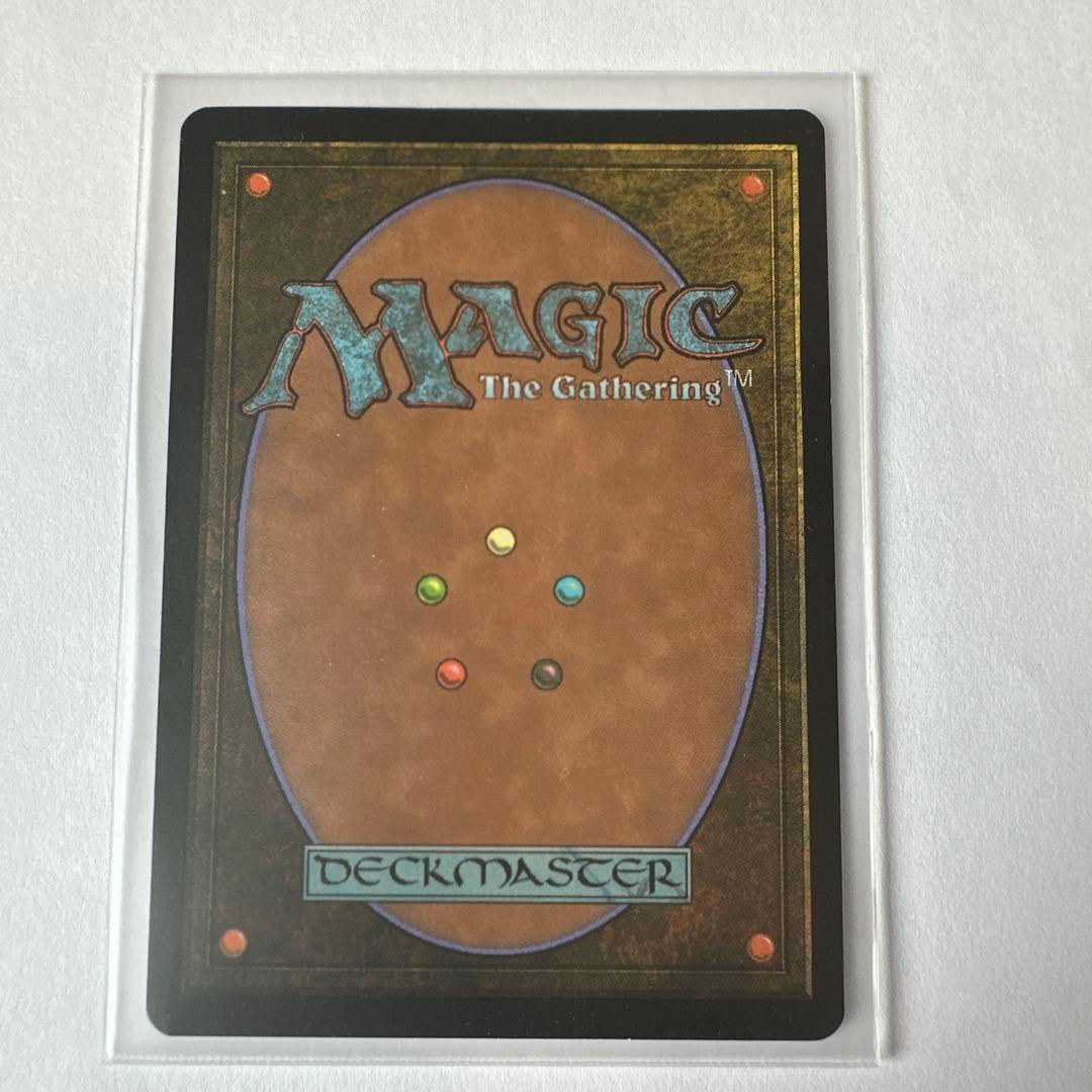 高級市場 土地カード マジック：ザ・ギャザリング