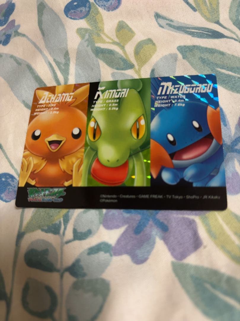 ポケットモンスター　ポケカ　ポケモン図鑑カード フシギダネ　キモリ