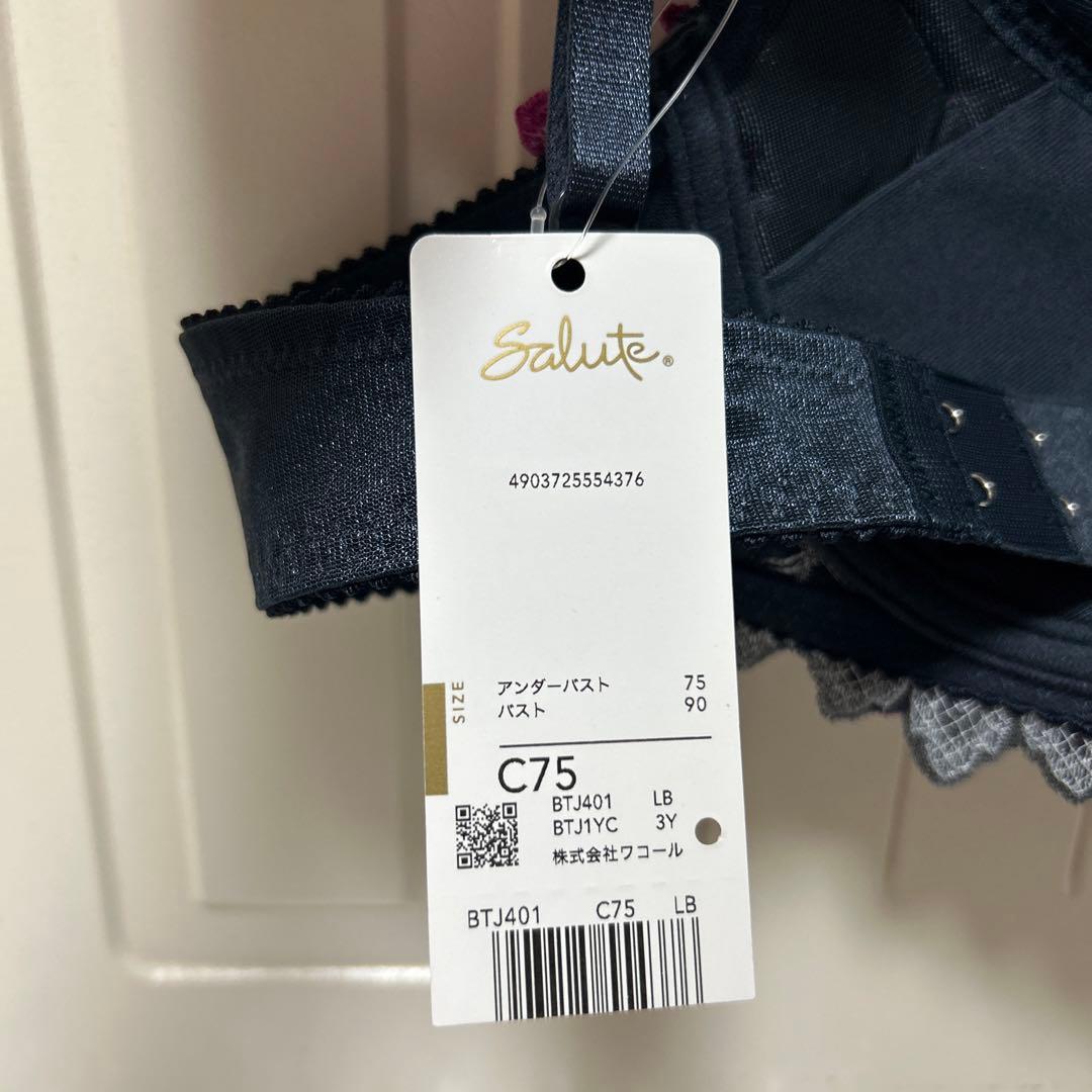 ワコール　サルート　ブラジャー　ショーツ　C75M