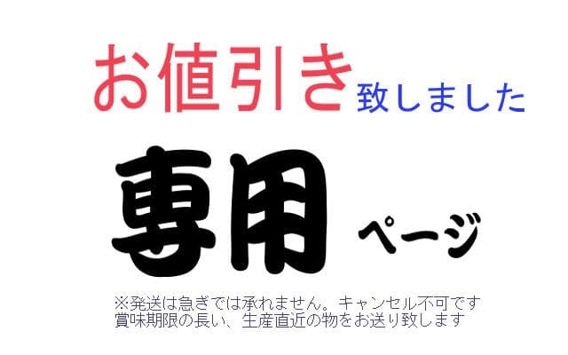 孝行 お値引き専用ページ