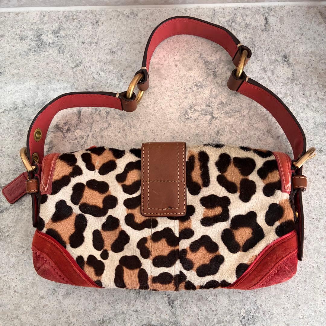 コーチ ヒョウ柄 パンプス バッグ セット