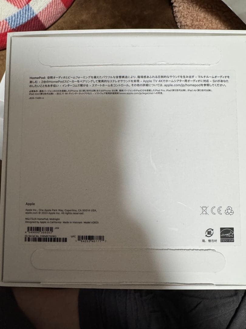 Apple Pod 第二世代　ブラック