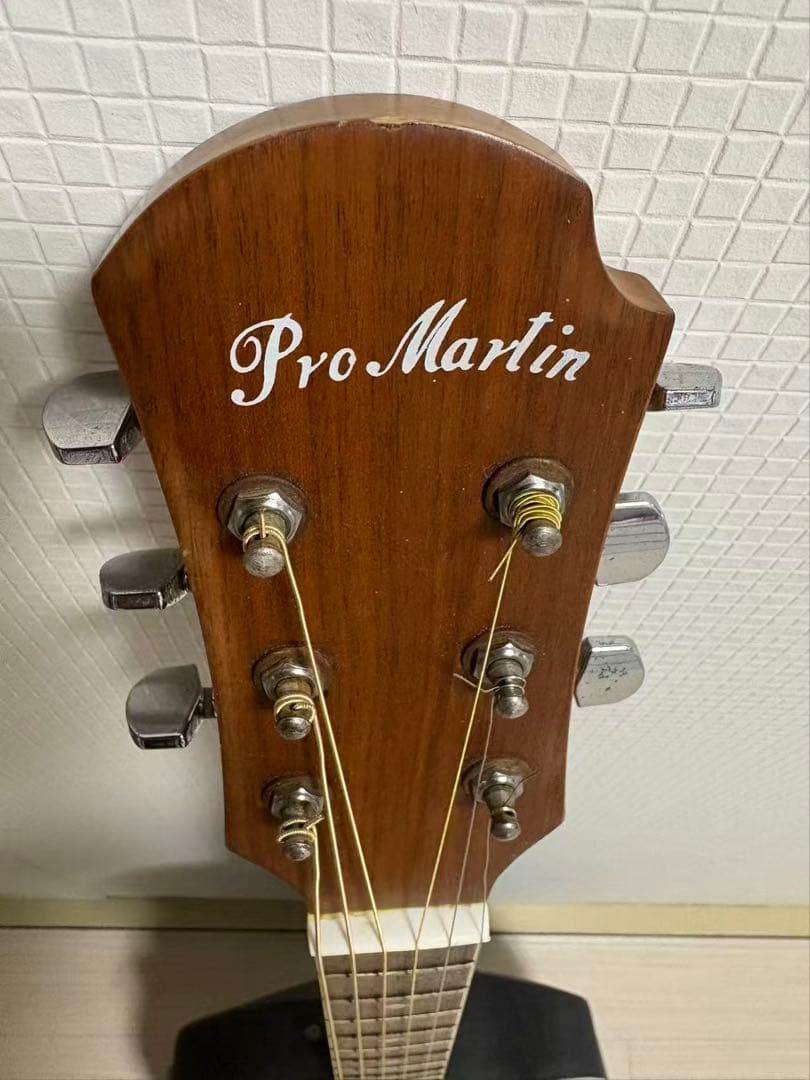 ProMartin EA350BS エレアコ