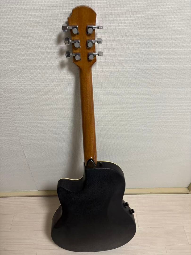 ProMartin EA350BS エレアコ