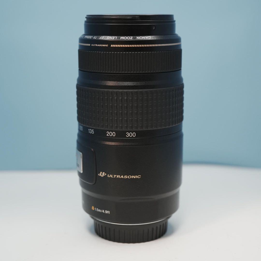 Canon純正 75-300mm 望遠レンズ 美品 a3264
