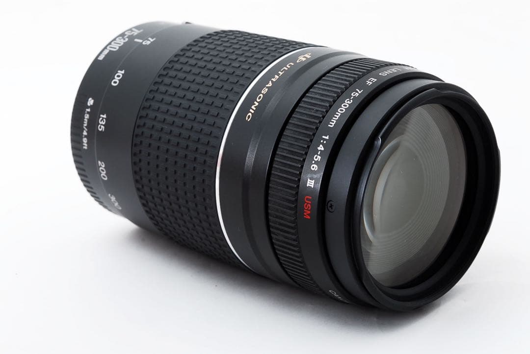 望遠レンズ/大迫力の300㎜/キャノン Canon EF75-300㎜