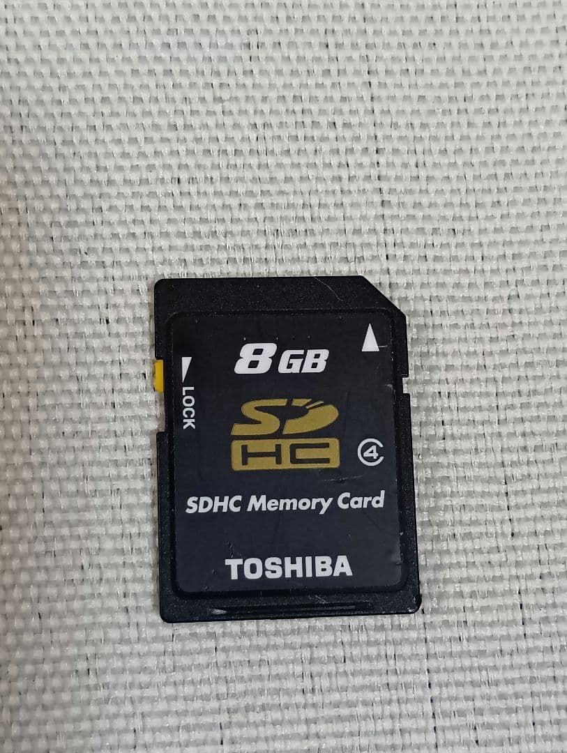 ビクター ビデオカメラ JVC Everio GZ-VX895-T（ブラウン）