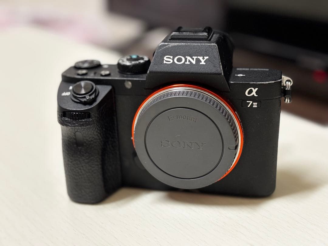 ド*ン様 SONY α7Ⅱ ILCE−7M2