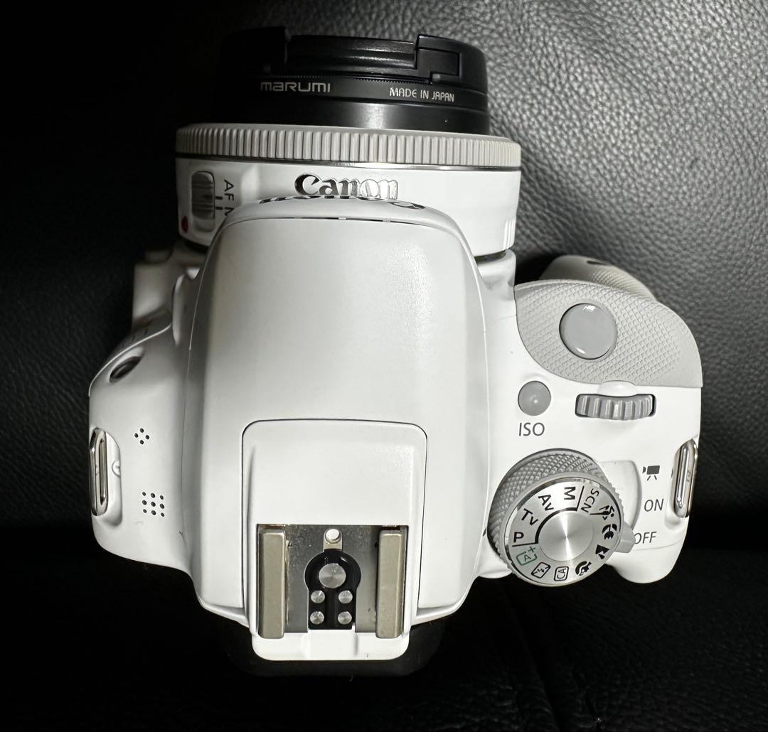 【極美品】EOS Kiss X7 ホワイトモデル レンズ×2セット