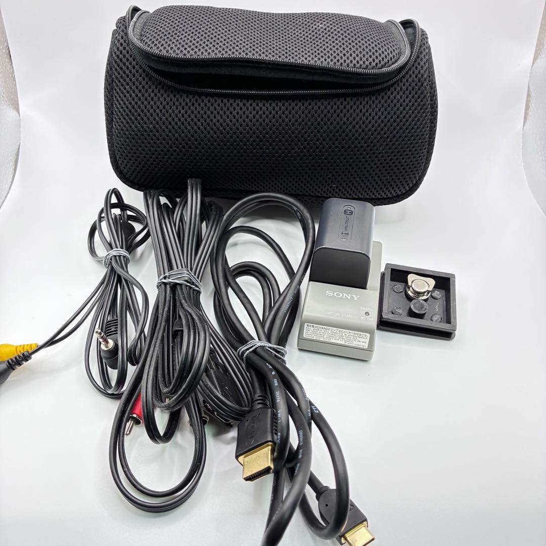 SONY デジタルビデオカメラ Handycam ハンディカム HDR-SR11