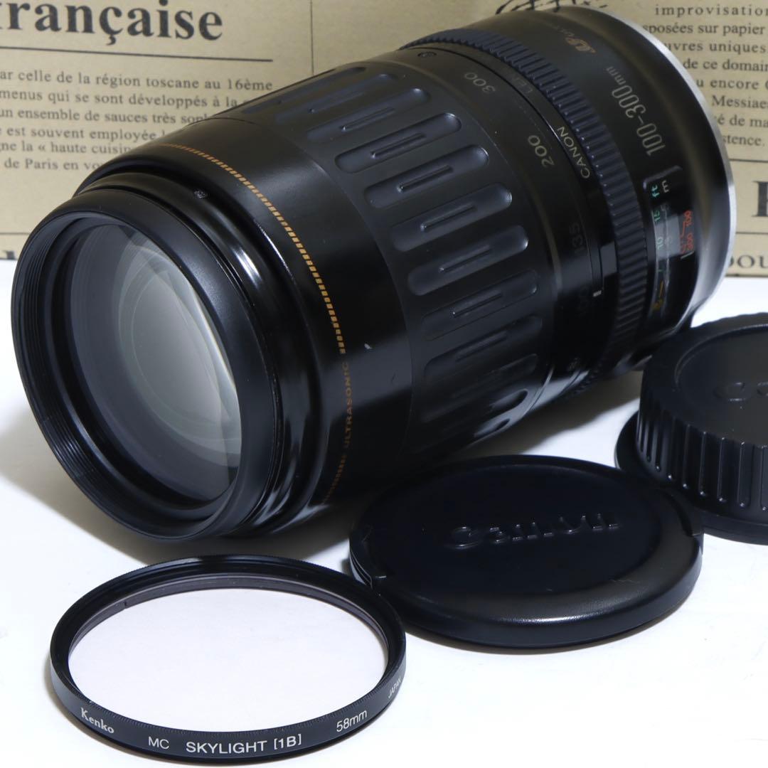 ◇超望遠&高速AF◇Canon純正 300mm 望遠レンズ!!◇