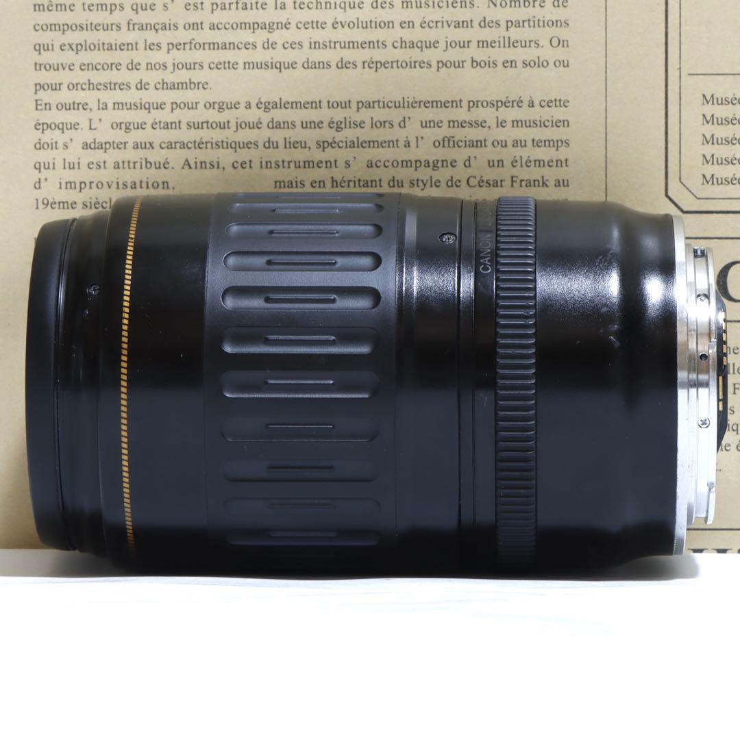 ◇超望遠&高速AF◇Canon純正 300mm 望遠レンズ!!◇
