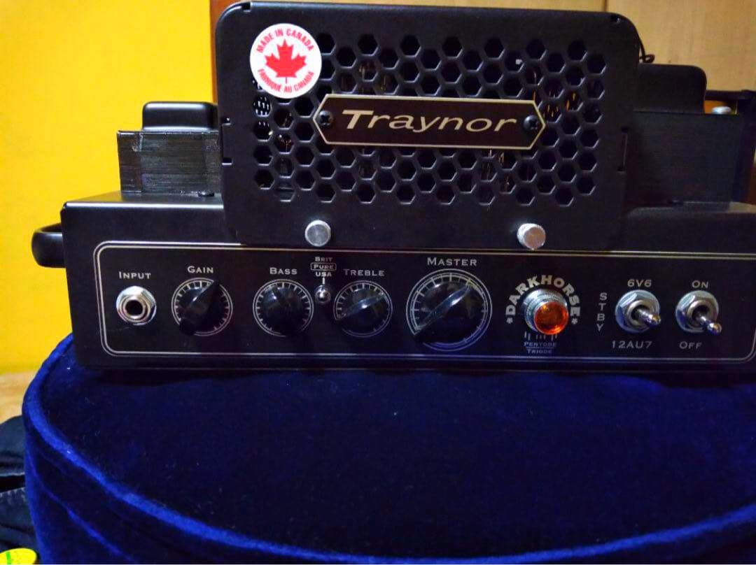 Traynor dh15h – Darkhorse 15 W Tube Amp