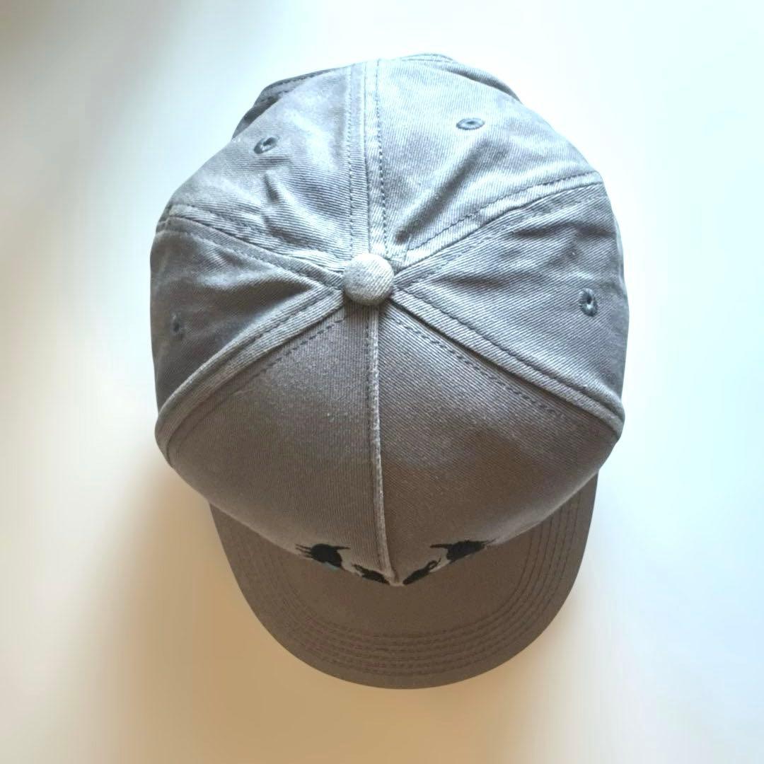 ステューシー　スナップバックキャップ　00sビンテージ