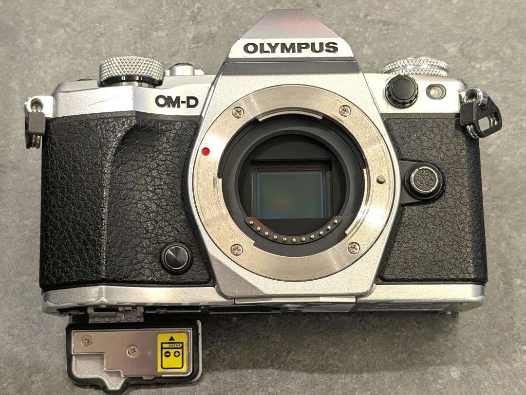 【ジャンク】OLYMPUS OM-D EM-5 markⅡ　ボディ