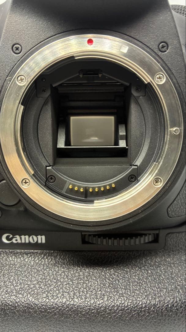 Canon 7D Mark2 ・ 24-105 L IS USM レンズセット