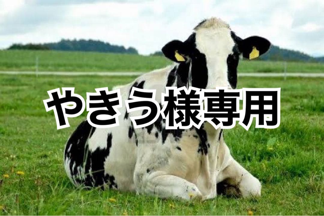 画像内容＋チョコ10