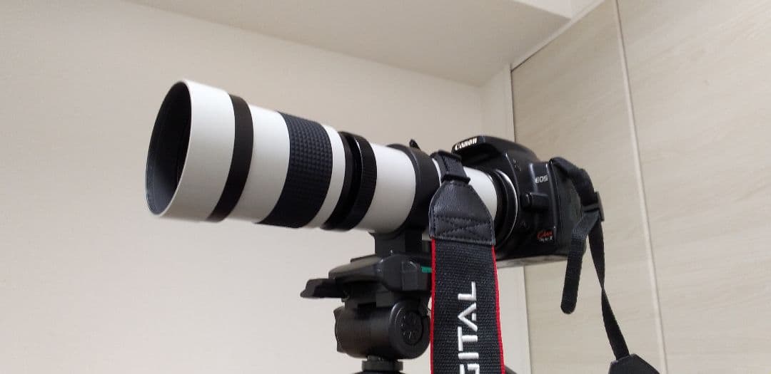 Canon EOS デジタル一眼レフカメラ 800mmレンズつき　撮影キット