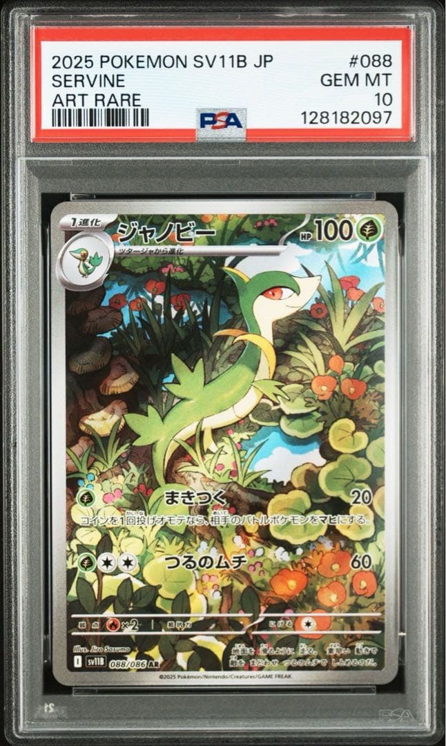 ★PSA10 3連番★ ツタージャ ジャノビー ジャローダex SAR