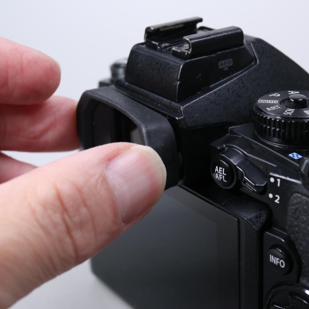 ☆フラッグシップ☆ OLYMPUS OM-D E-M1 ミラーレス一眼　＃393