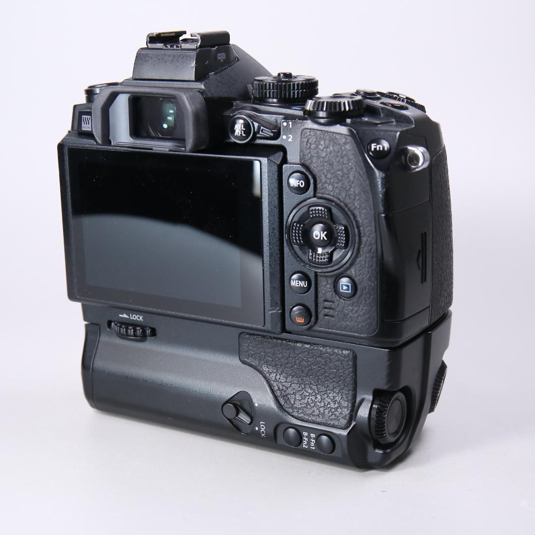 ☆フラッグシップ☆ OLYMPUS OM-D E-M1 ミラーレス一眼　＃393