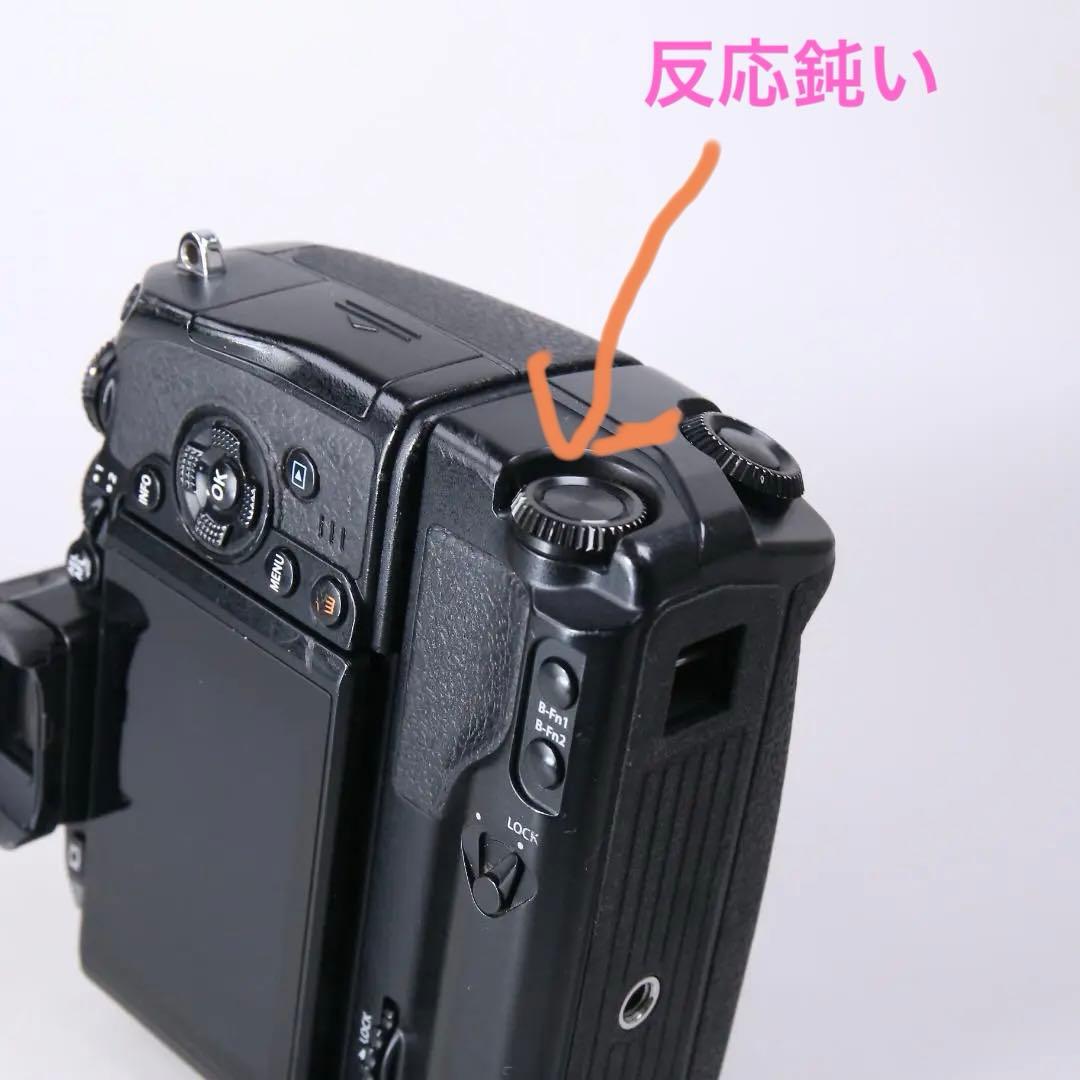 ☆フラッグシップ☆ OLYMPUS OM-D E-M1 ミラーレス一眼　＃393