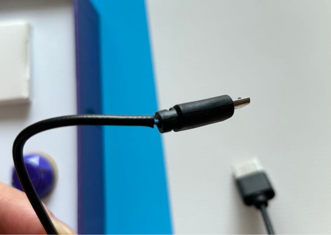 鯉登音之進　イヤホン　ゴールデンカムイ