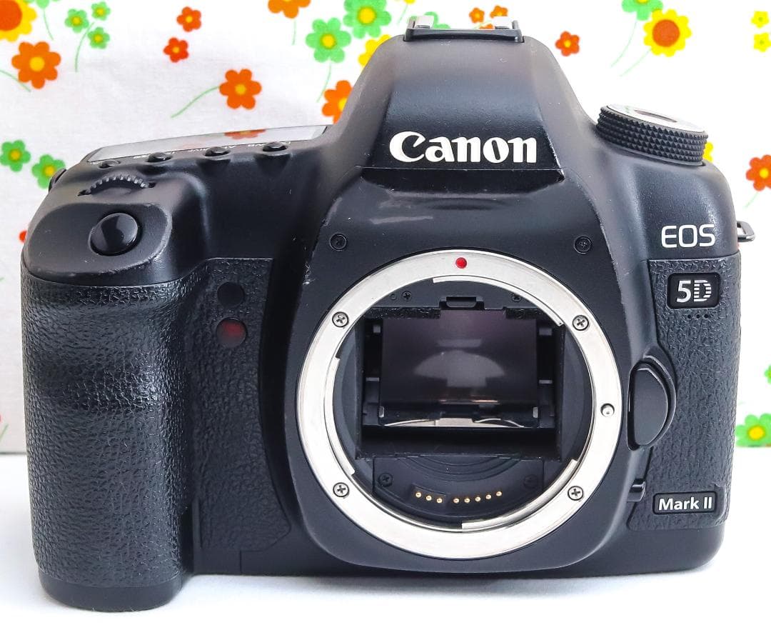 プク丸 Canon 5D MarkII☆ダブルレンズ！☆スマホに転送！