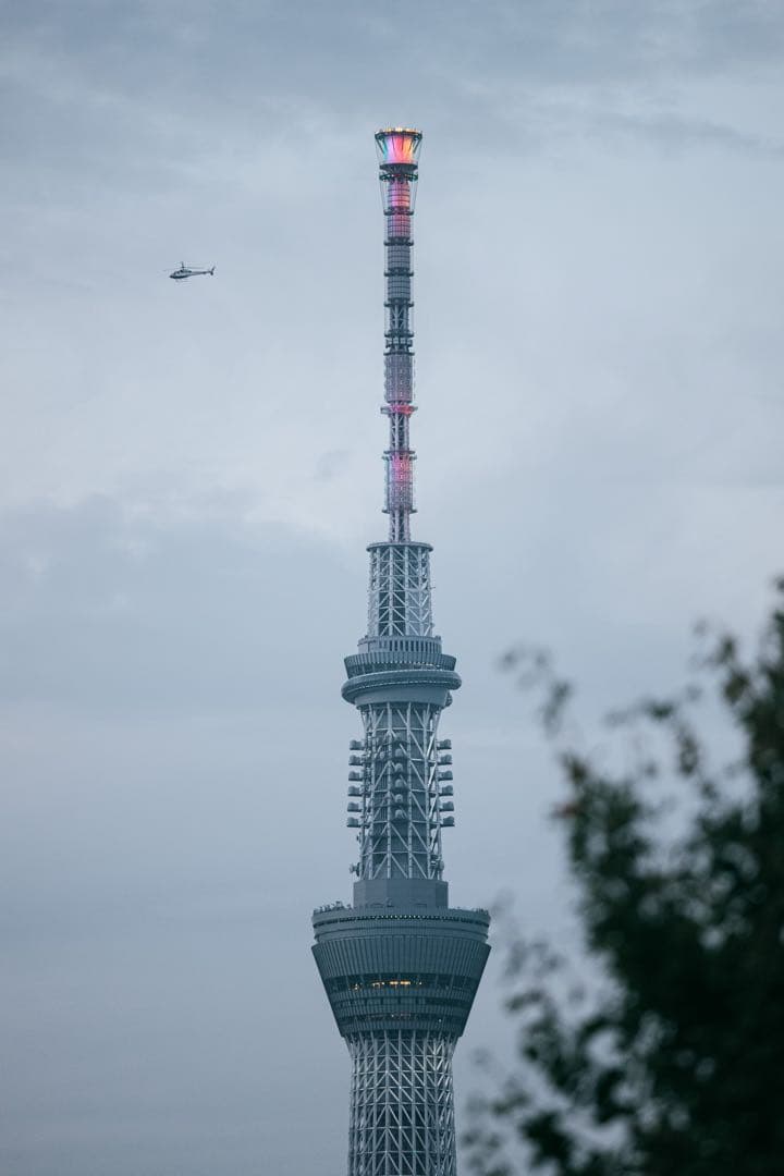 SIGMA APO 300mm F4 Macro キャノン EFマウント