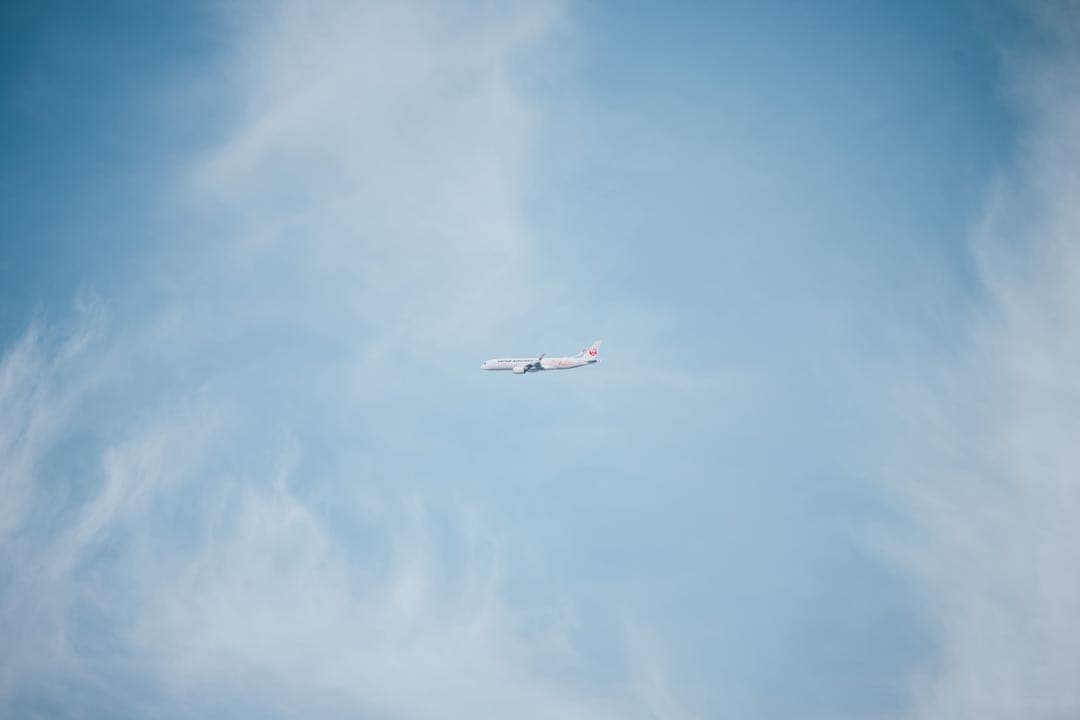 SIGMA APO 300mm F4 Macro キャノン EFマウント