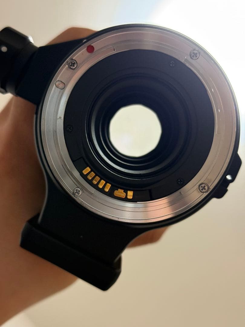 SIGMA APO 300mm F4 Macro キャノン EFマウント