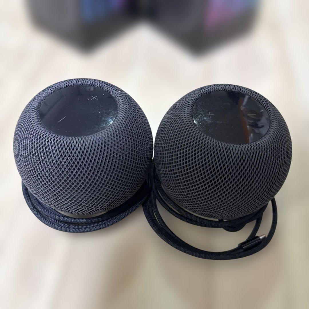 Pod mini スペースグレー 2個セット